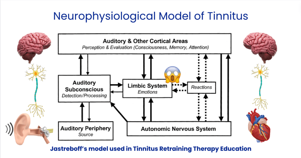 The Neurophysiological Model of Tinnitus used in Tinnitus Retraining Therapy